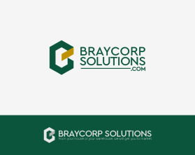 Braycorpsolutions.com entry by Alan Qosh