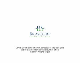 Braycorpsolutions.com entry by Bpo