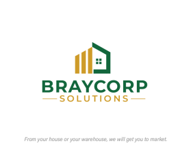 Braycorpsolutions.com entry by Abelardo Luna