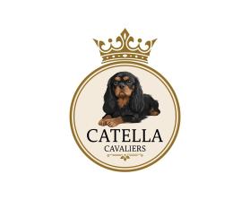 Catella Cavaliers entry by WOWIDEA