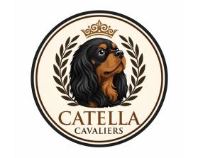 Catella Cavaliers entry by Maaz Tahir