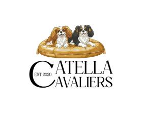 Catella Cavaliers entry by WOWIDEA