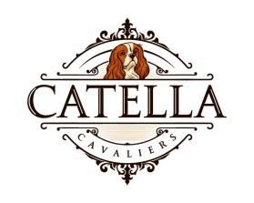 Catella Cavaliers entry by Norberto Enrique Perez Viloria