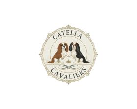 Catella Cavaliers entry by Adriana