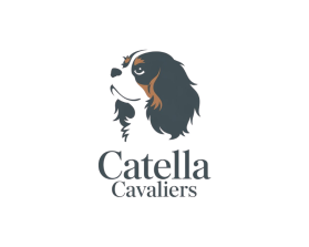 Catella Cavaliers entry by guendouz sami