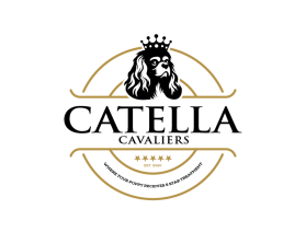 Catella Cavaliers entry by Ali Ahmad