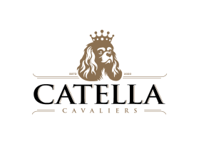 Catella Cavaliers entry by Ali Ahmad