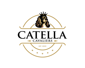 Catella Cavaliers entry by Ali Ahmad