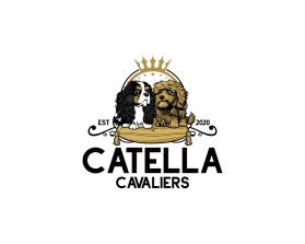 Catella Cavaliers entry by WOWIDEA