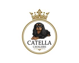 Catella Cavaliers entry by WOWIDEA