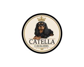 Catella Cavaliers entry by WOWIDEA