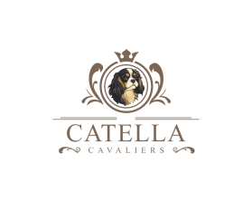 Catella Cavaliers entry by Rafka