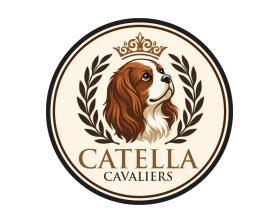 Catella Cavaliers entry by Maaz Tahir