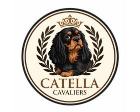 Catella Cavaliers entry by Maaz Tahir