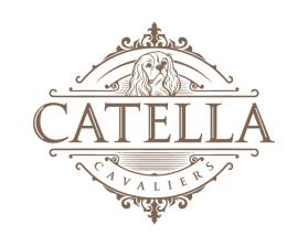 Catella Cavaliers entry by Norberto Enrique Perez Viloria