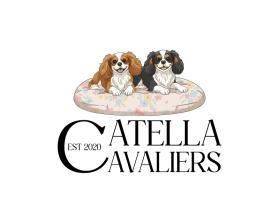 Catella Cavaliers entry by WOWIDEA