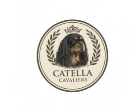Catella Cavaliers entry by Abdul Majeed
