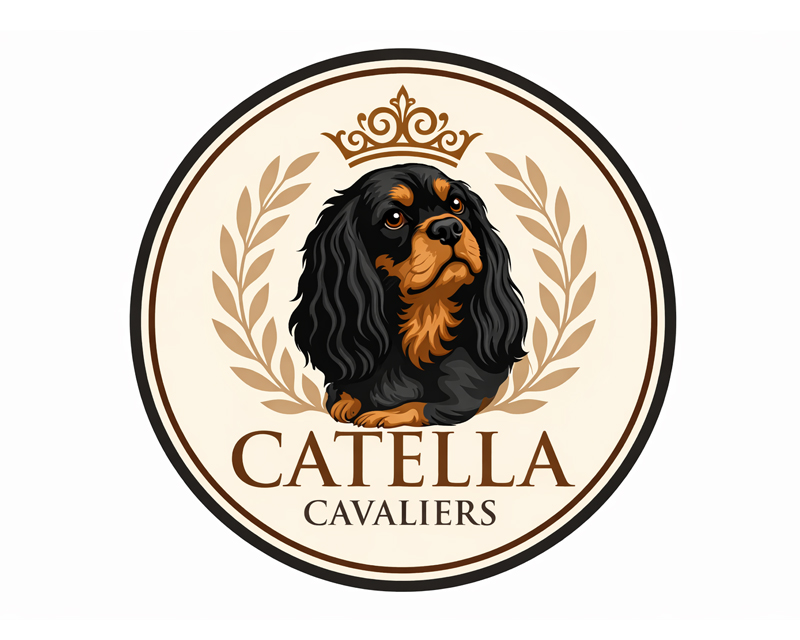Logo Design for Catella Cavaliers