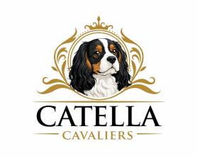 Catella Cavaliers entry by Maaz Tahir