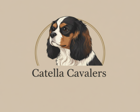 Catella Cavaliers entry by Farrukh Baig