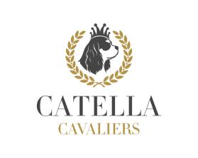 Catella Cavaliers entry by Kawser