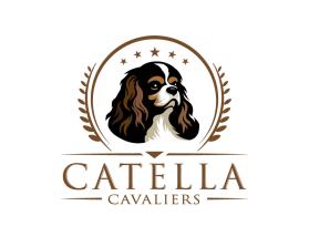 Catella Cavaliers entry by Ali Ahmad