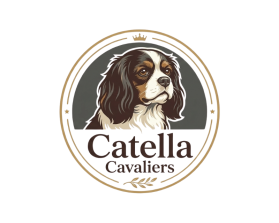 Catella Cavaliers entry by guendouz sami