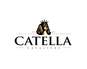 Catella Cavaliers entry by Ali Ahmad