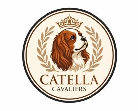 Catella Cavaliers entry by Maaz Tahir