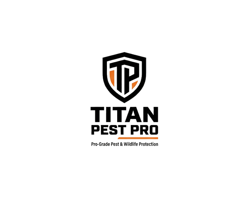portfolio-img