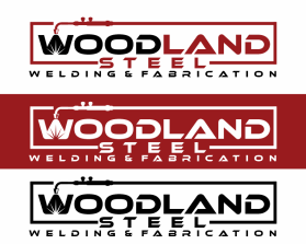 Woodland Steel entry by kus