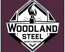 Woodland Steel entry by Leandra Barry