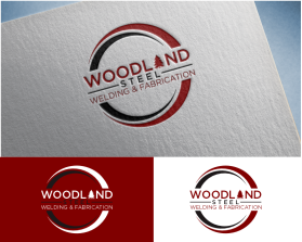 Woodland Steel entry by copper
