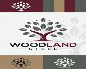 Woodland Steel entry by Design design