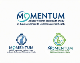 MOMENTUM entry by Oussama Mekkaoui