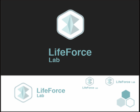 Life Force Lab entry by biggybig