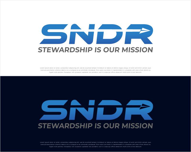 Logo Design for SNDR (sender)