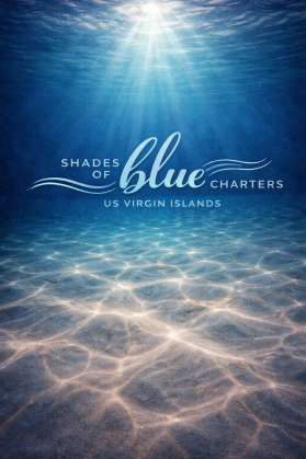Shades of Blue Charters entry by Enginkahya00