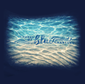 T-Shirt Design Entry 3883786 submitted by DG4U to the contest for Shades of Blue Charters run by mt_burzycki