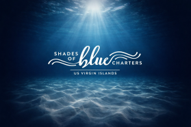 T-Shirt Design Entry 3888373 submitted by kamrunnahar754 to the contest for Shades of Blue Charters run by mt_burzycki