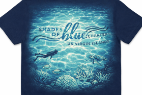 Shades of Blue Charters entry by KAMRUN NAHAR