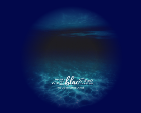 Shades of Blue Charters entry by Robeela Hanif