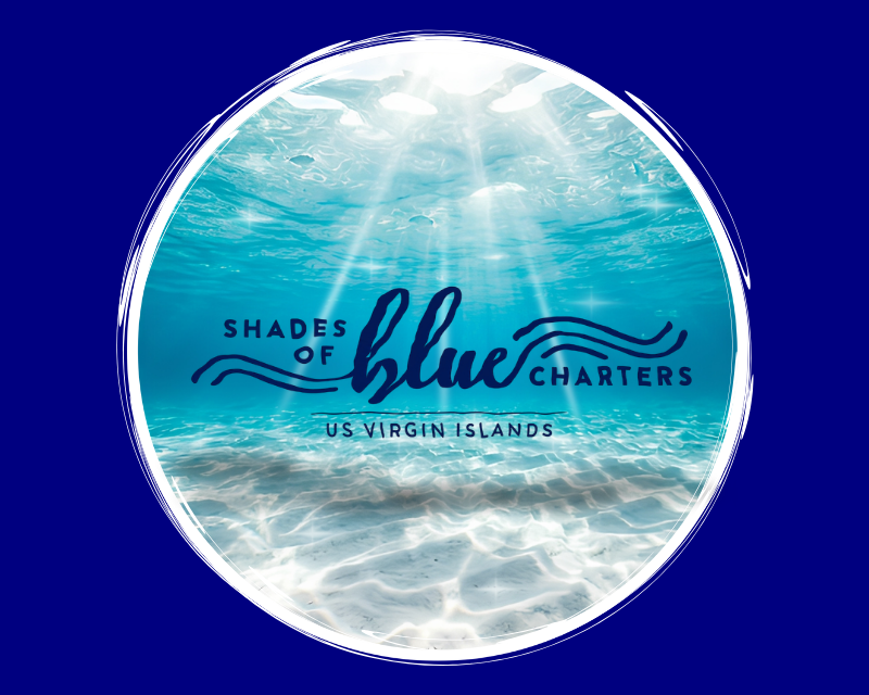 T-Shirt Design for Shades of Blue Charters