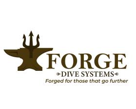 Forge Dive Systems entry by Anita Aprilia