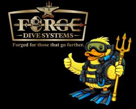 Forge Dive Systems entry by faisalartwork