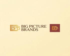 Big Picture Brands entry by Sita Ram