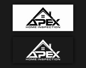 Apex Home Inspection entry by alissa