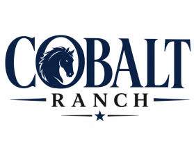 Cobalt Ranch entry by Kimathi85