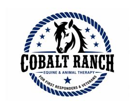 Cobalt Ranch entry by maaztahir