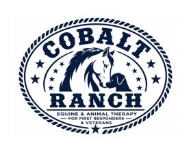 Cobalt Ranch entry by maaztahir